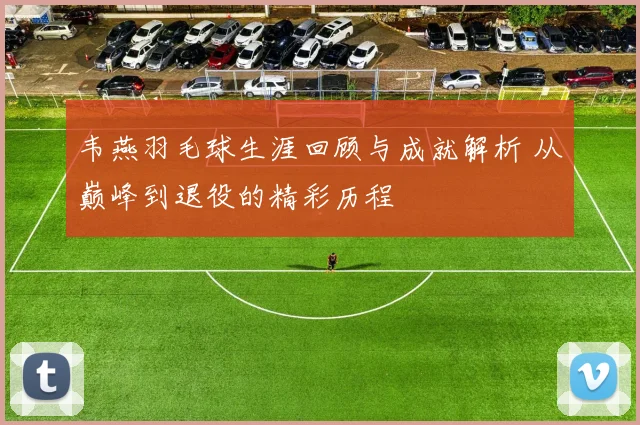 韦燕羽毛球生涯回顾与成就解析 从巅峰到退役的精彩历程