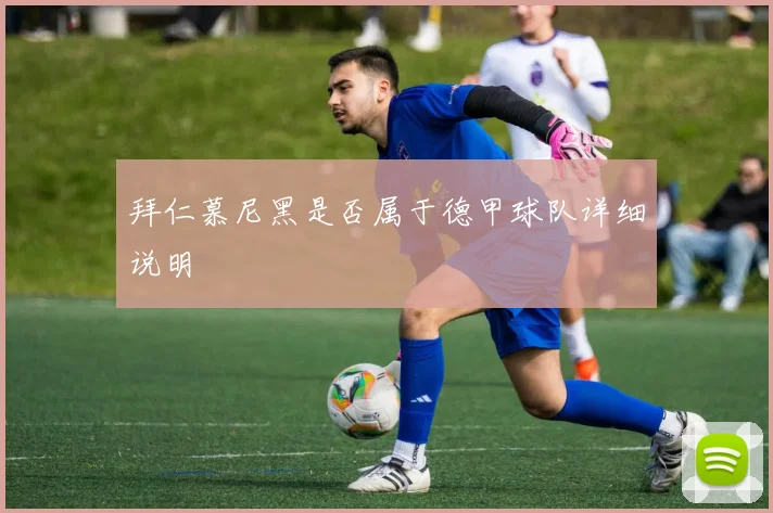 拜仁慕尼黑是否属于德甲球队详细说明