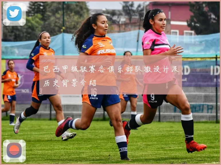 巴西甲级联赛各俱乐部队徽设计及历史背景介绍