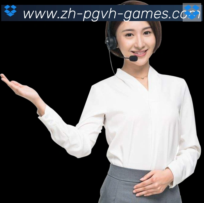 奖项证书